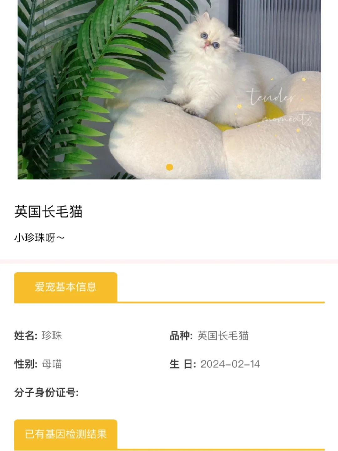 小珍珠加入格宠星球啦