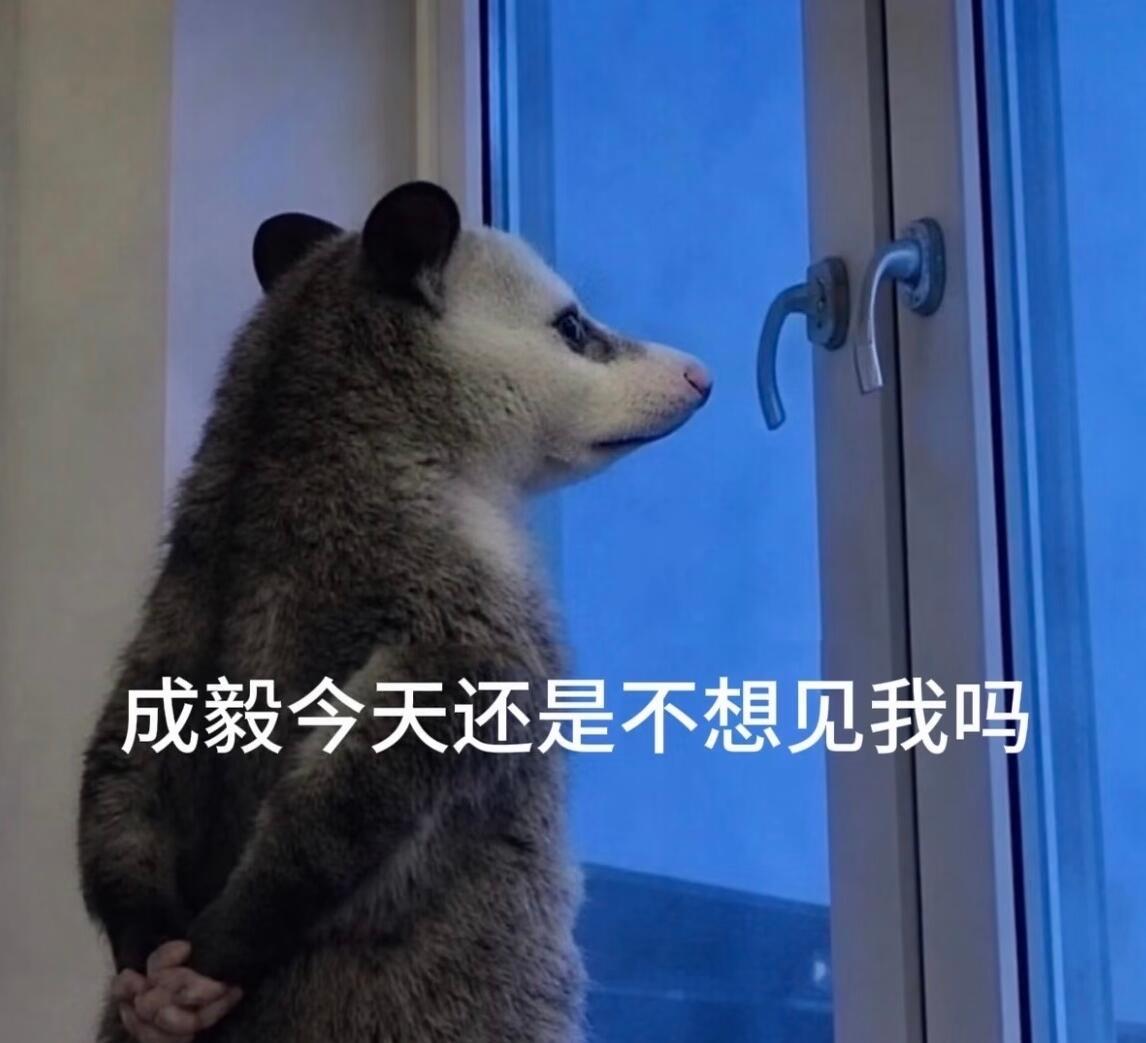 分享图片 