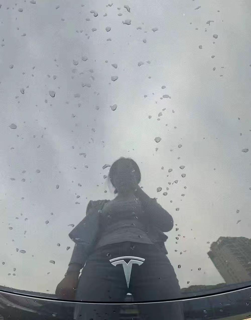 特斯拉车标被玩出花，只能说美女拍照角度封神