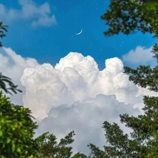 夏天属于散文和柠檬，属于裸露和慵懒，属于关于回归的想像的永恒闲置。属于稀见的长笛