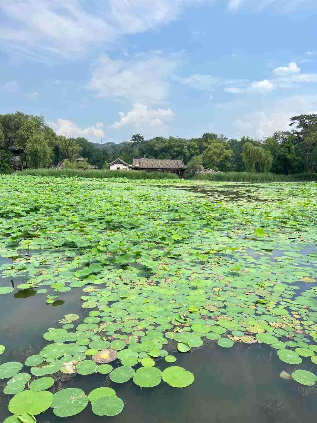 我的今日状态：😁轻松愉快
我这里的天气：☀️晴天