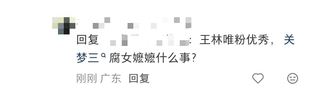 我好像找到第四阶段了，承认林唯优秀，但是开除喜欢王林的其他粉丝属性热门角色哪个不