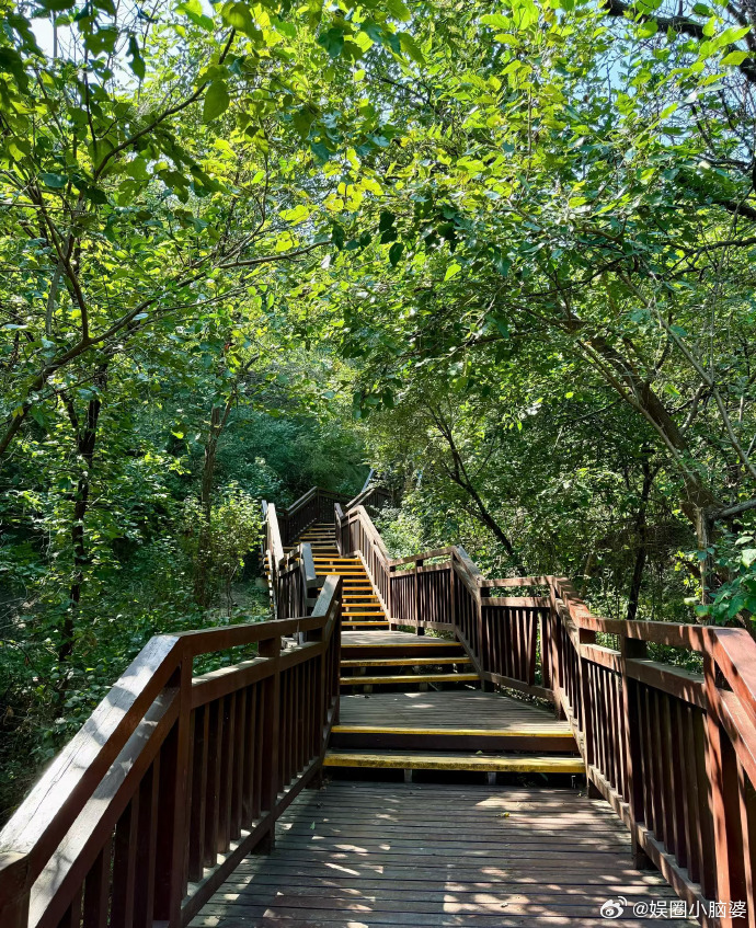 沿路都是风景 ​​​