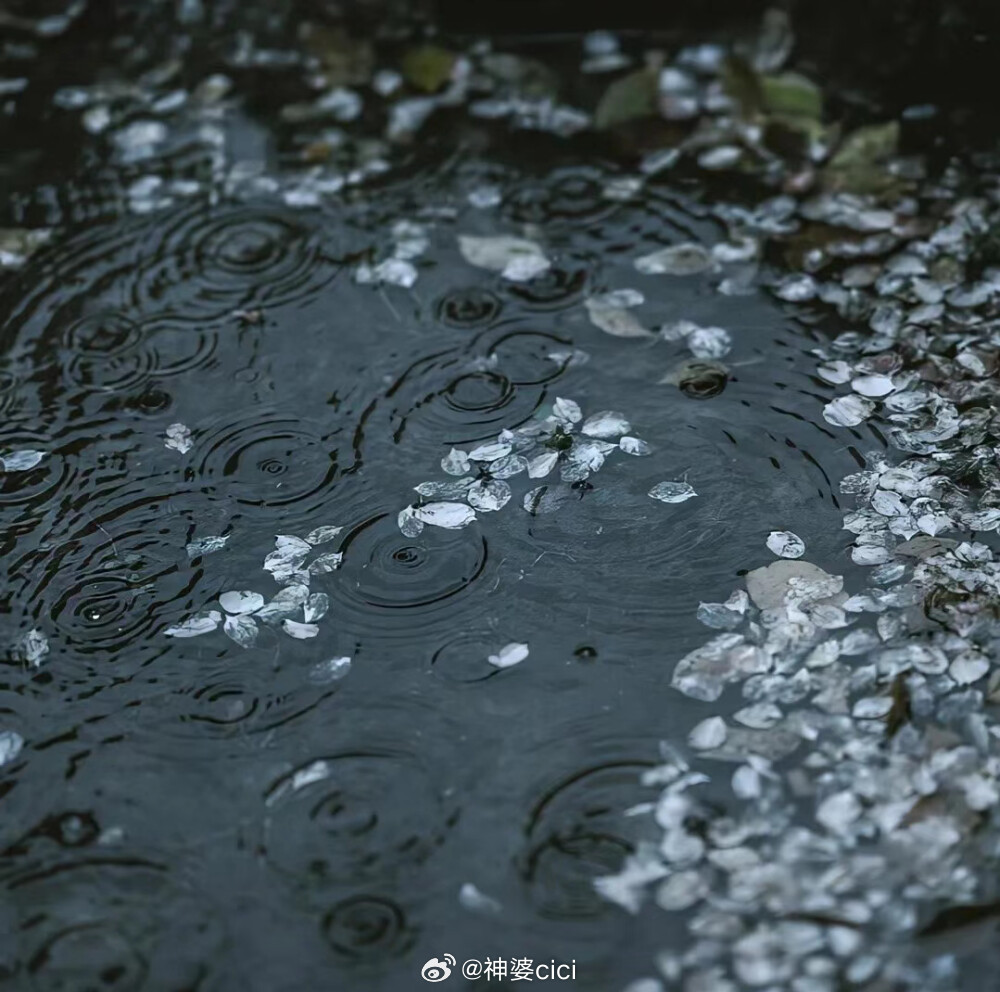 狮子座自带耀眼气场自信坦荡，不怯于展现自身能力，事业、人缘双双走高，机遇主动找上