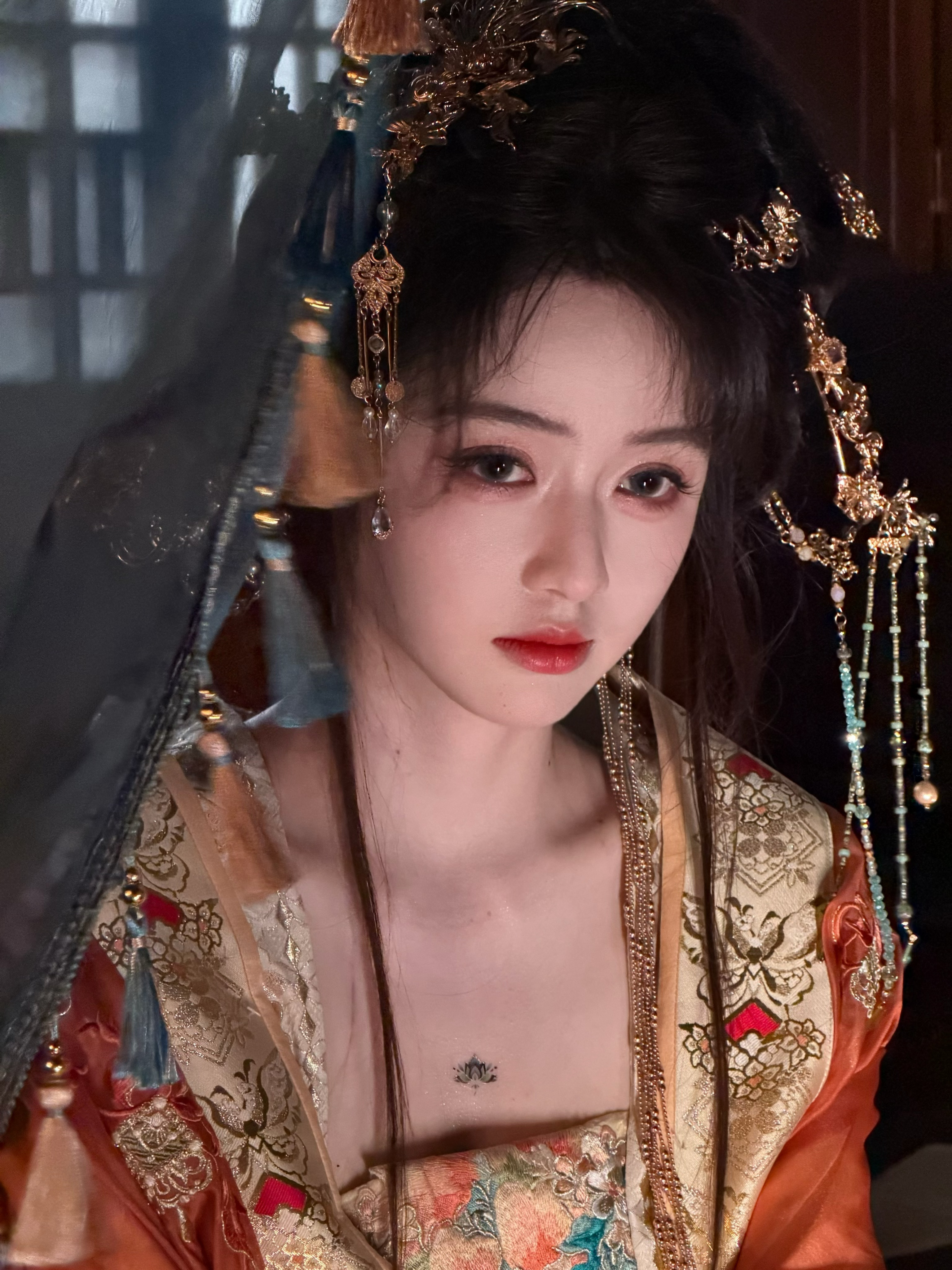 “朱门绣户”摄影妆造/一枝👗静还诀 