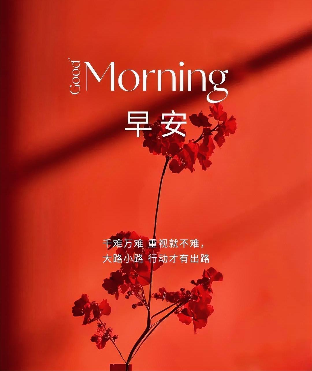 晨光里红花傲然，早安！千难万难，重视就不难，行动才是你的出路。