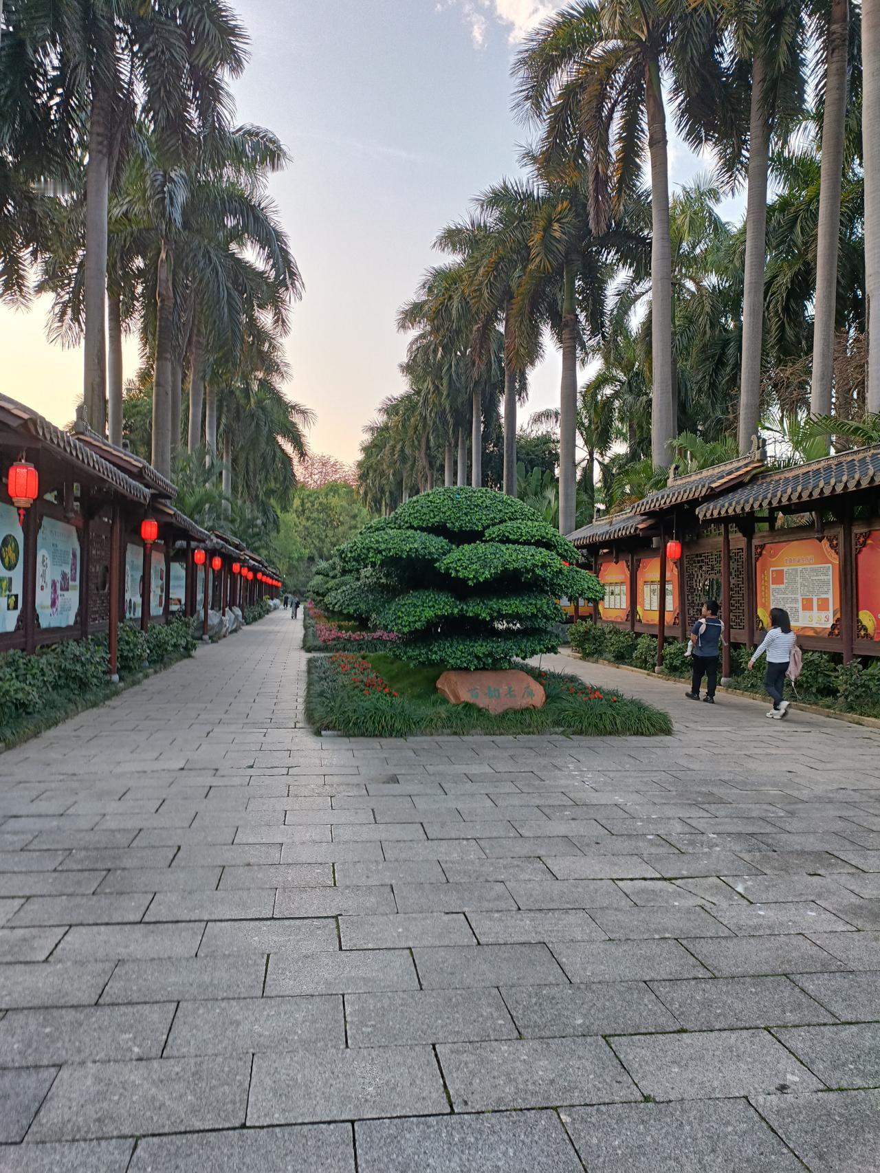 春游南宁金花茶公园，简直是一场视觉盛宴！这个公园是全国首家茶花专类园，占地 23