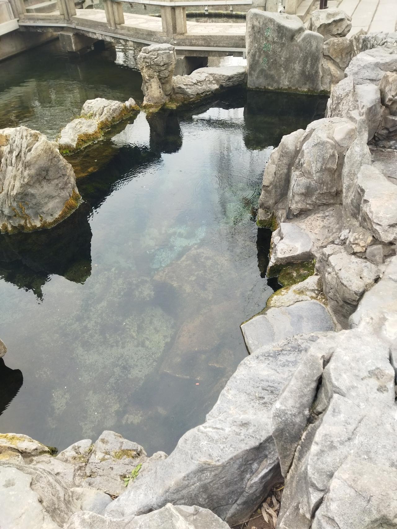 今年冬天的不同今年的冬天和往年没有什么不同。世界还是那个世界，地球还是那个地球。