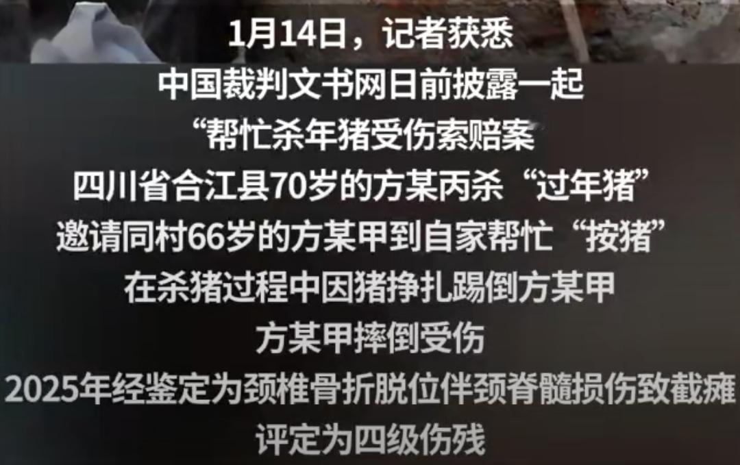 无偿帮工的责任边界到底该怎么划？男子帮邻里按猪致高位截瘫，邀约者被判赔52万。当
