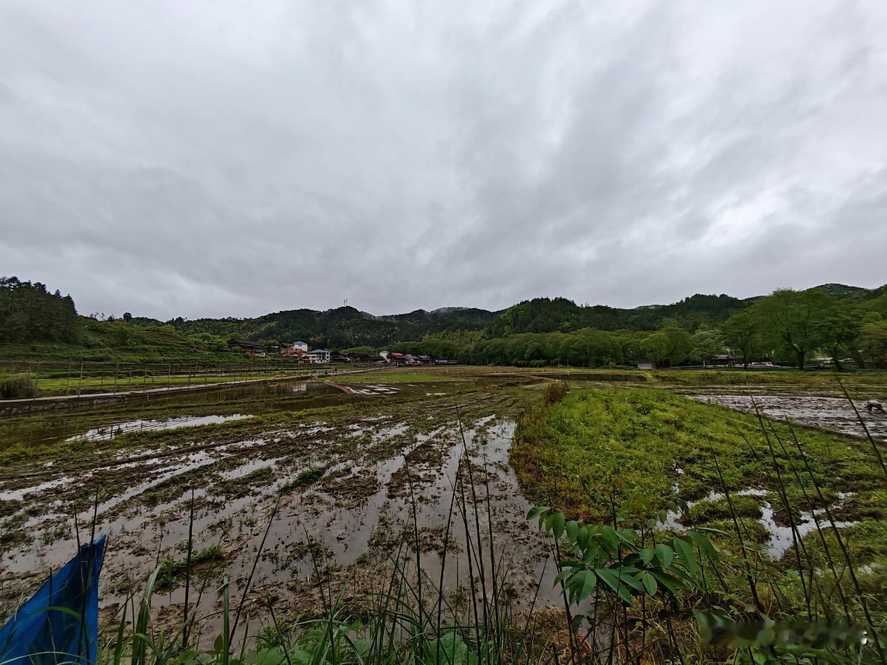 春耕，播种希望的季节

今天叫上两个队友，到村部附近几个组看看春耕播种情况，四月