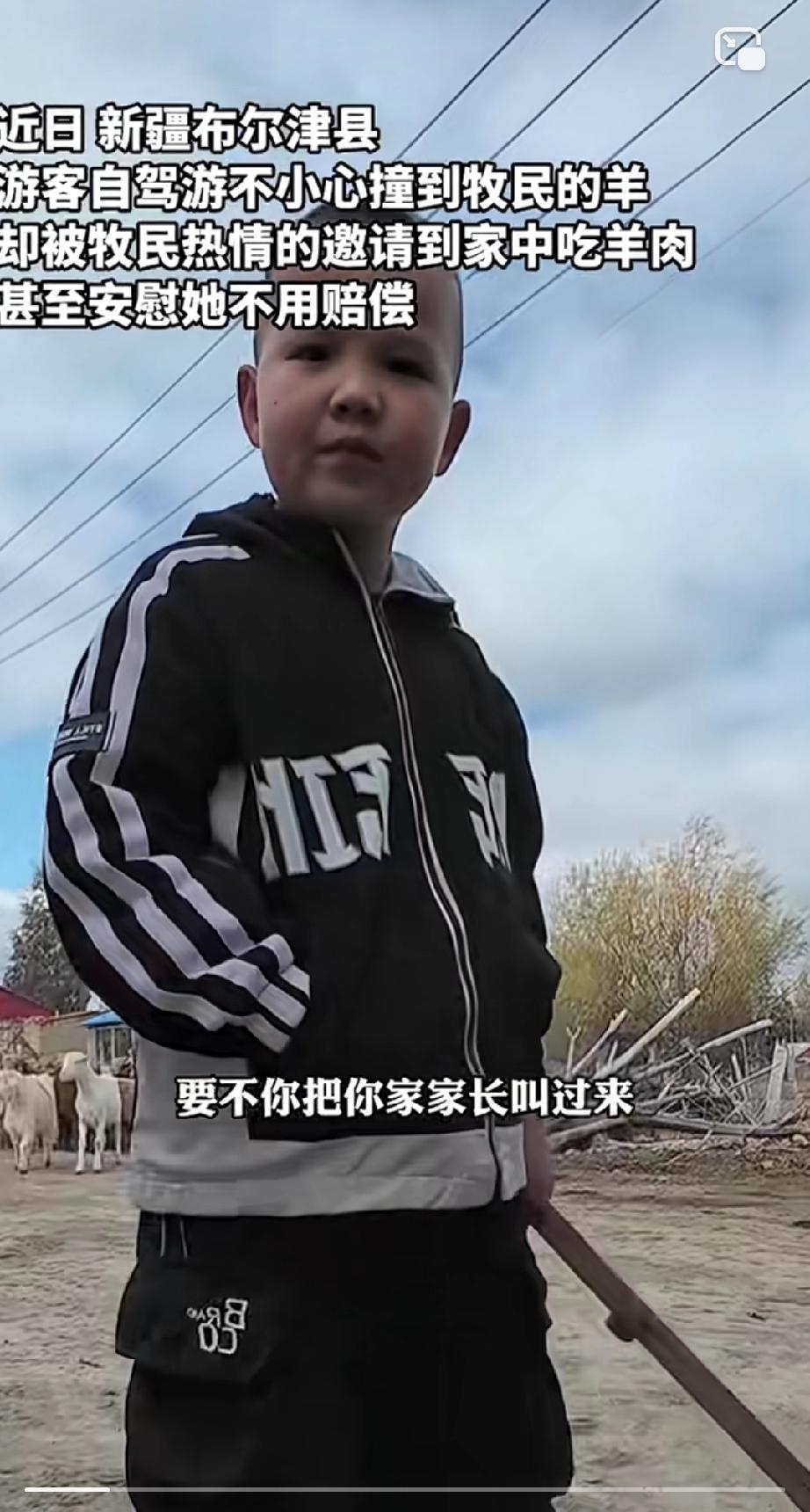 近日，一女子到新疆自驾，刚到布尔津县，就出了事。一个小男孩大喊：“撞到我家羊了！