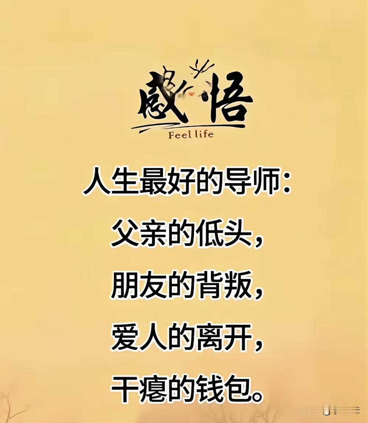 钱包搞定了，估计也就都搞定了