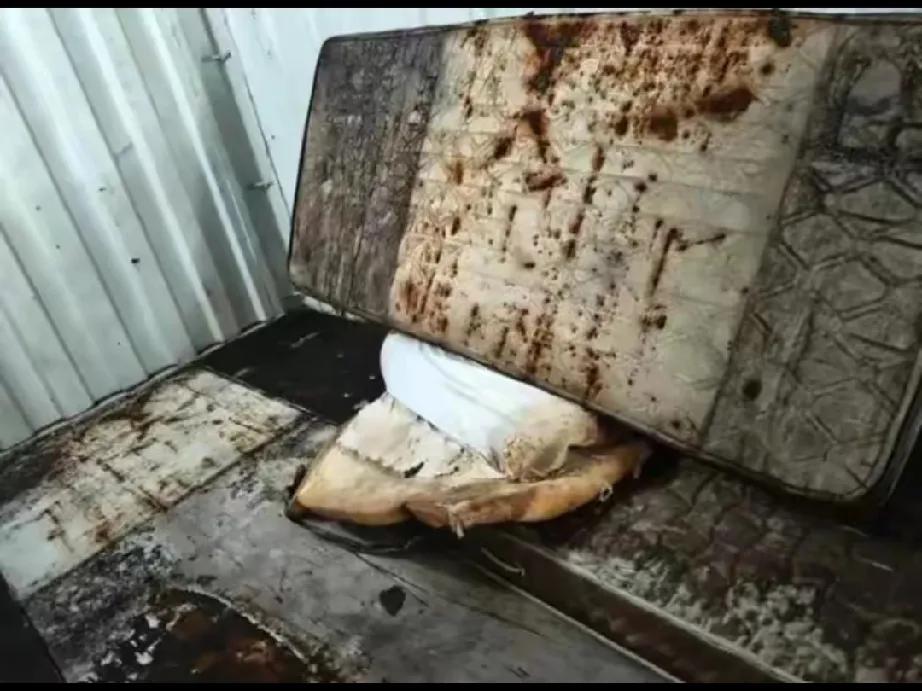 进境集装箱里的“惊悚夹带”，你所不知道的隐患

在我们日常的认知里，集装箱总是装