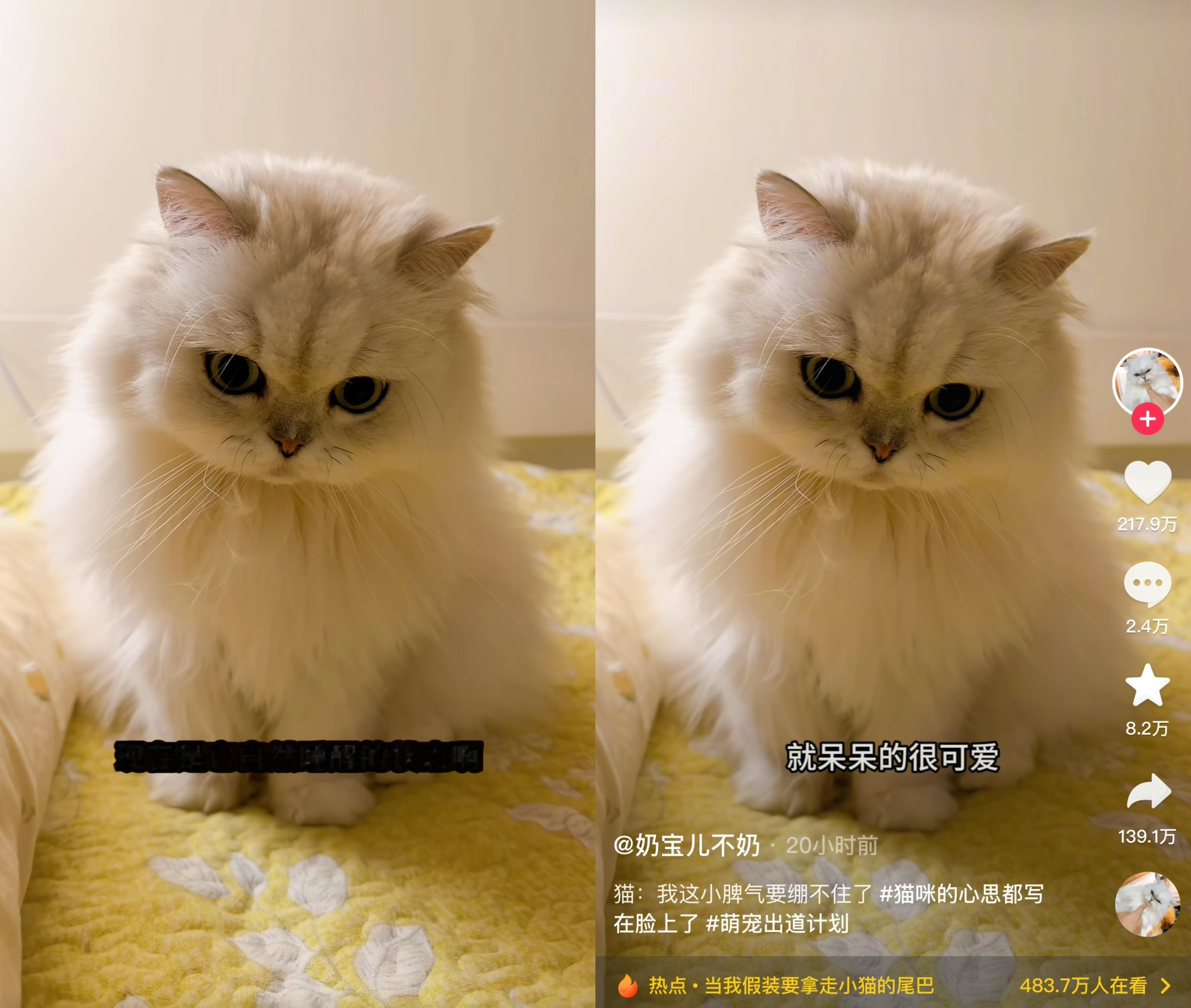 马马：如果他是被我喊起来的…🤔 