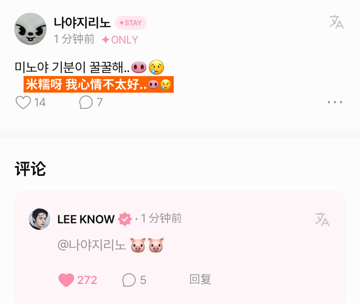 现在有另一只小猪来陪你了🥺 
