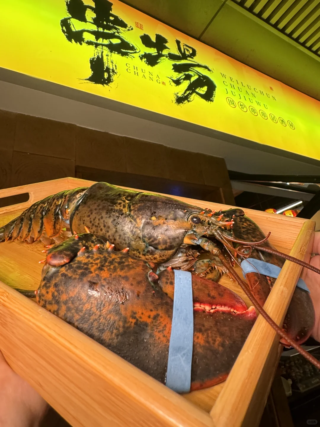 广州）毫无对手！不敢想象这一口下去该有多鲜