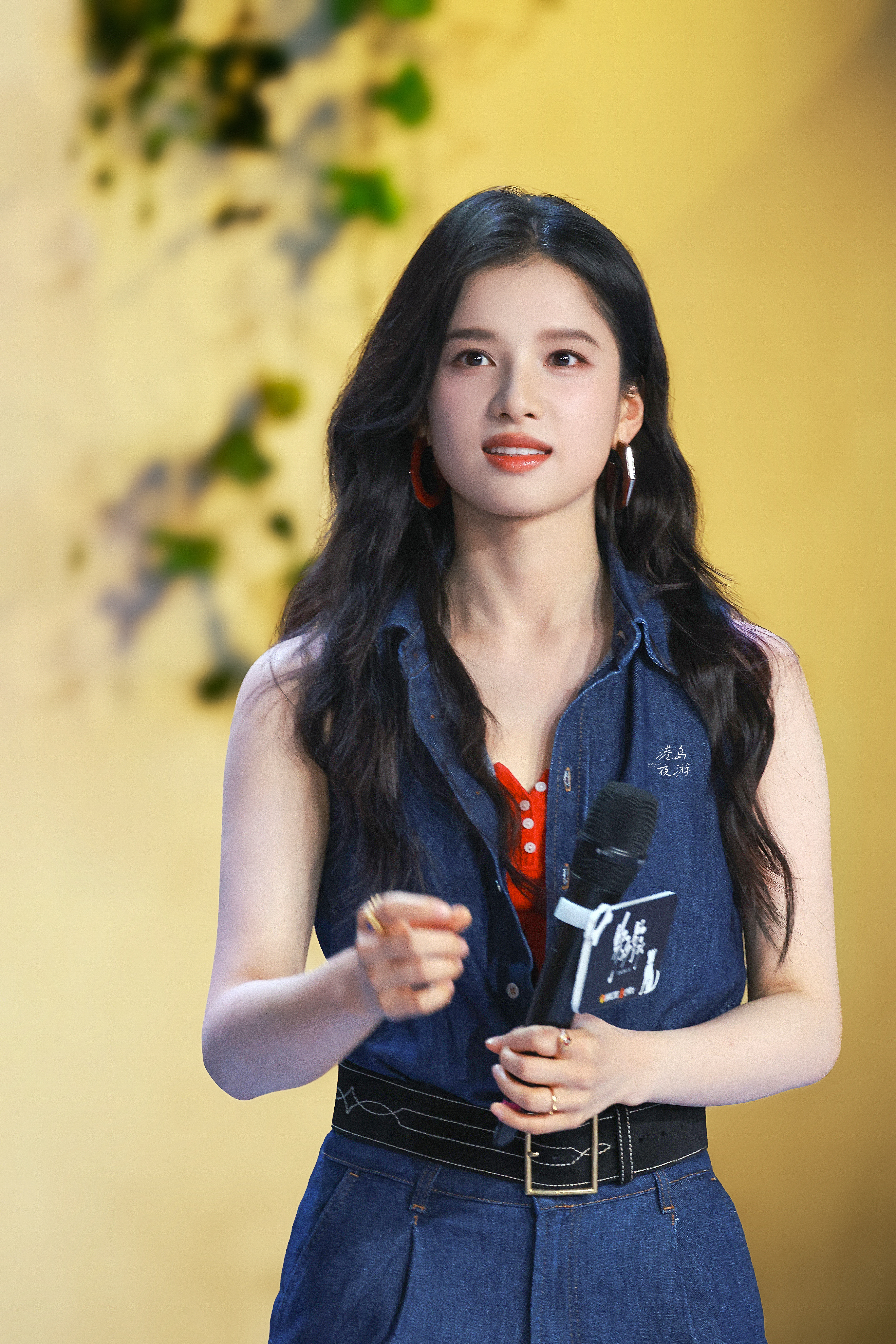 张婧仪 | 野狗骨头 