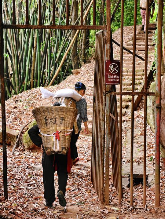 成都1.5h超舒服的森林秘境，访唐代摩崖造像