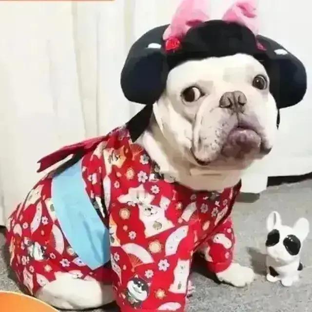 出轨女人的晚年悲剧：一步踏错，余生皆苦，一个出轨女人的悟，毁的是一生
 
女人一