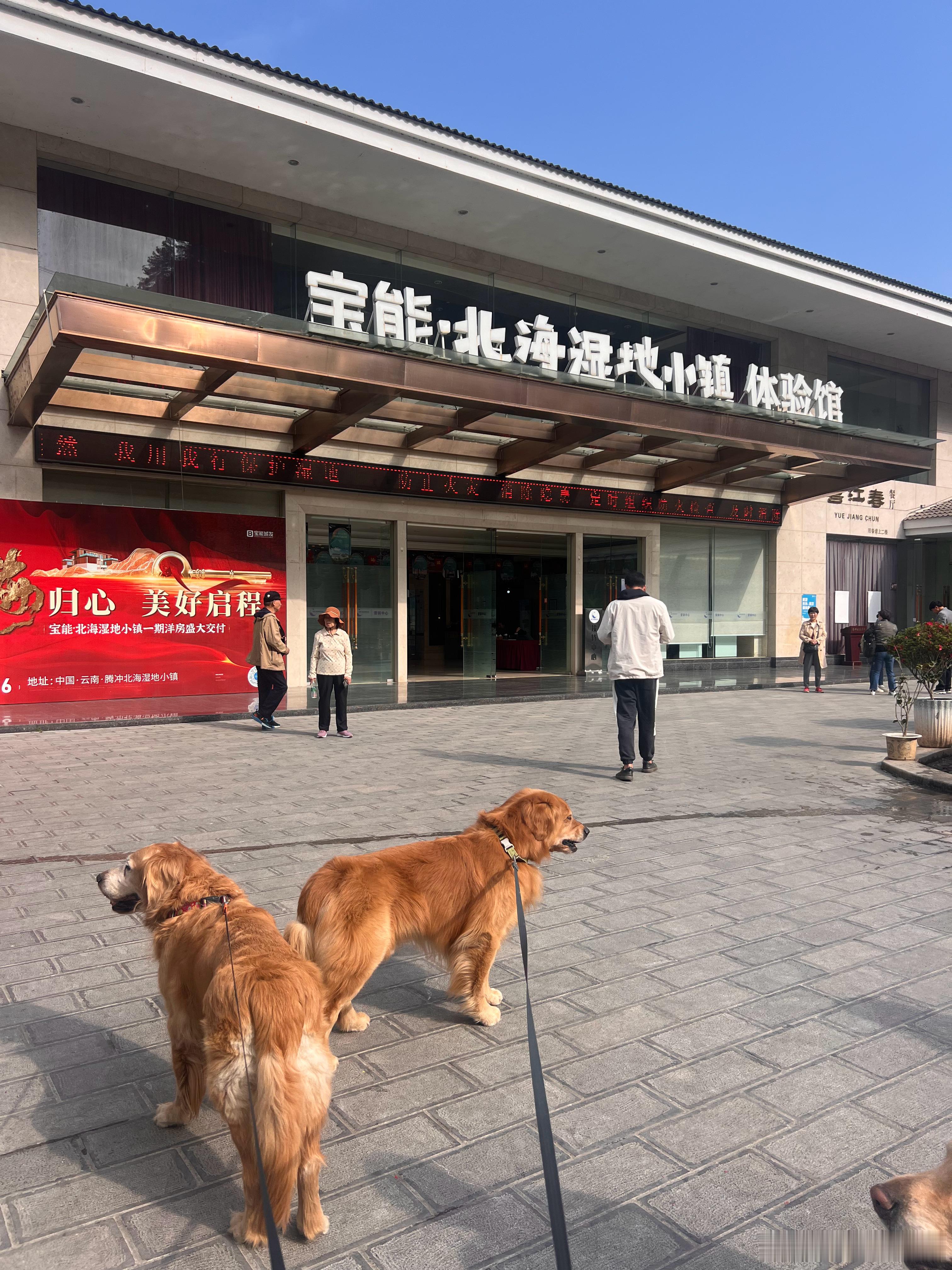 忽略两兄弟的友好交流方式，哈哈哈哈。你们倒是玩得开心，回来别人都午休了，我才梳完