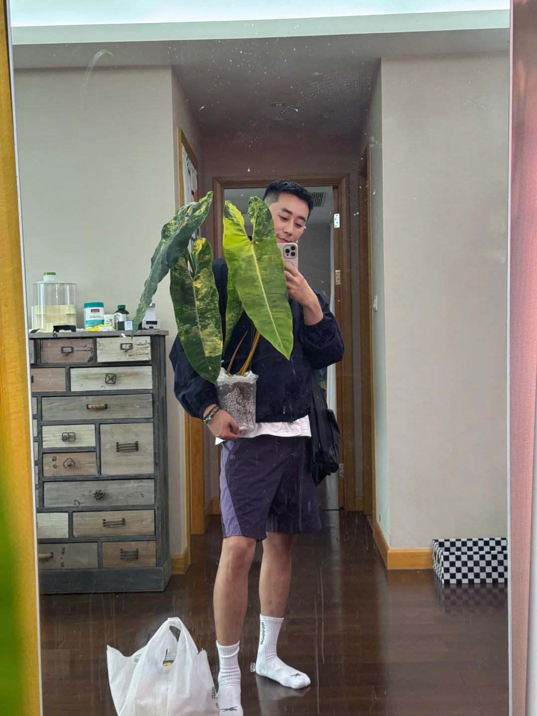 妈！我终于有 橙柄锦 了！