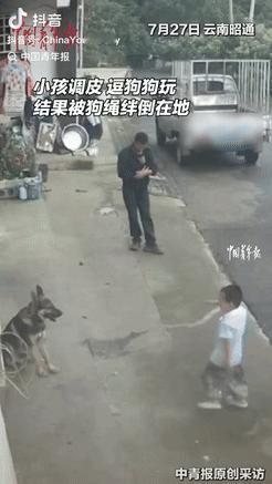 云南一名男孩逗狗玩，没想到狗突然挣脱绳子扑了过来，把他吓得拔腿就跑，狗子一路追赶