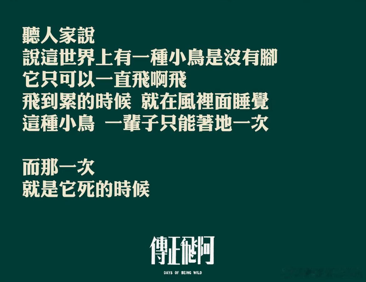 正经一下，分享一部电影，张国荣的《阿飞正传》📽️📽️📽️“这个世界上有一种