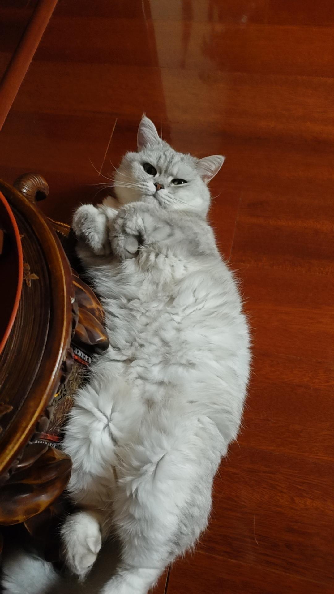 烧烤、沐浴和骑手学院很好

前几天看到一个视频，有位女孩哭着抱怨，说她学习的这电