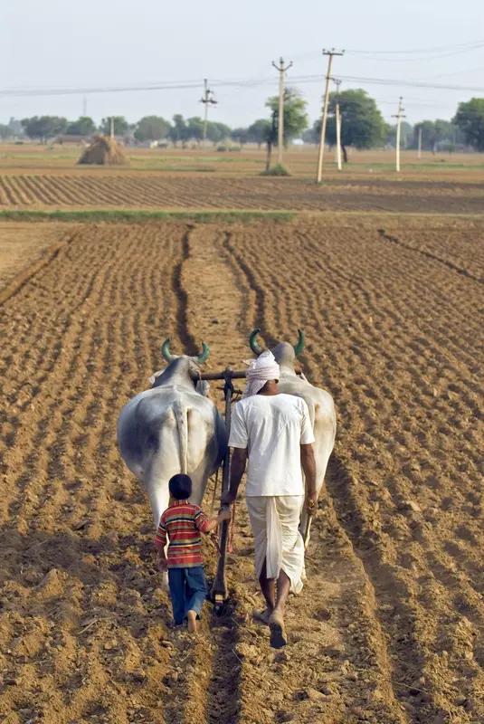 印度是个极具特色的国家。它面积约298万平方公里，位居世界第7，地处南亚次大陆，