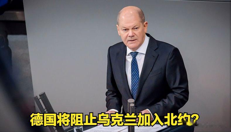 德国准备阻止乌克兰加入北约，担心和俄罗斯发生战争。
据基辅独立报报道，虽然已经有