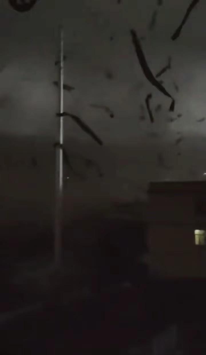 “人为什么会在极端天气下感到兴奋” 极端天气 狂风暴雨来袭