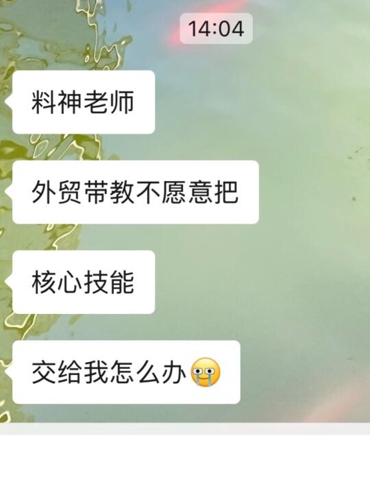 做外贸，不要指望什么都有人来教。。。