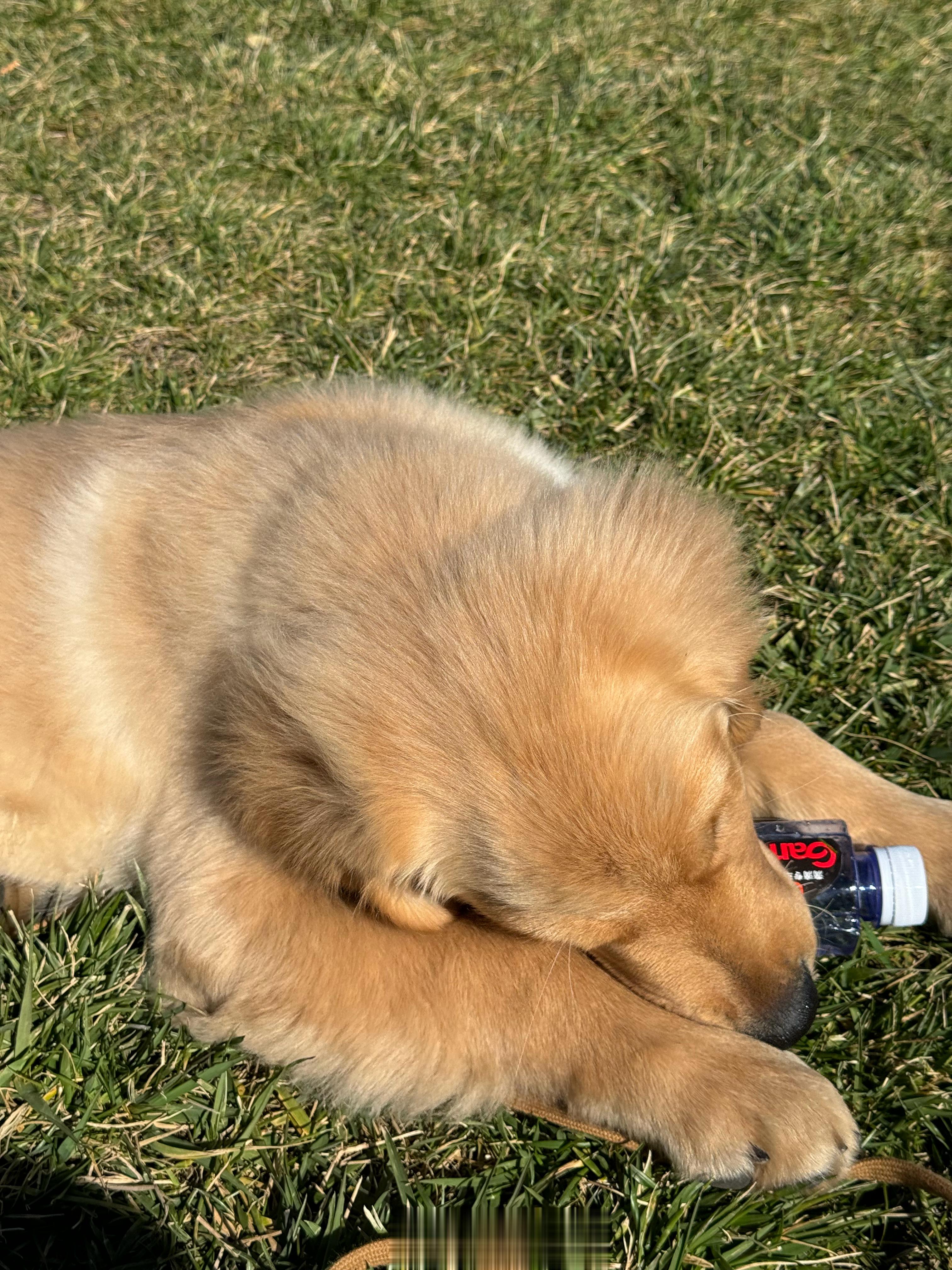 #冒个泡#  相册的qqgg  ​​​