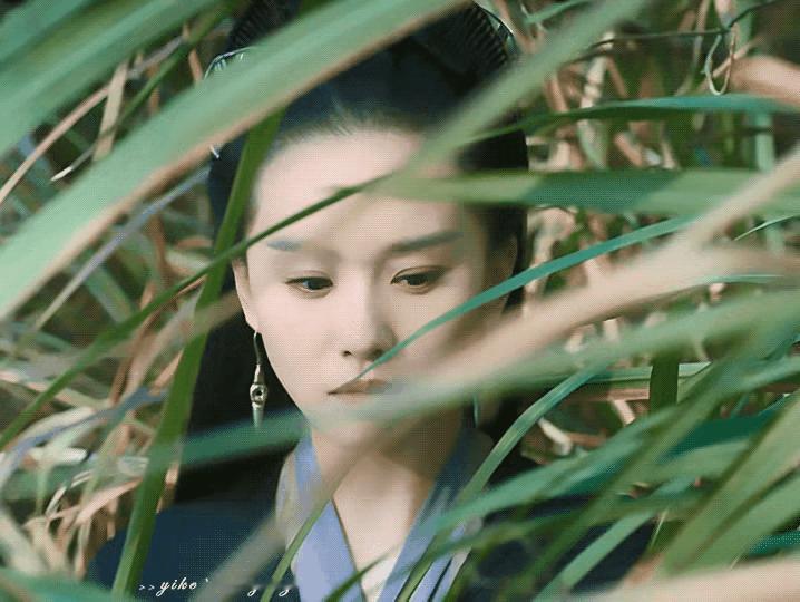 内娱高质量镜头一览，有被惊艳到吗[送花花] ​​​