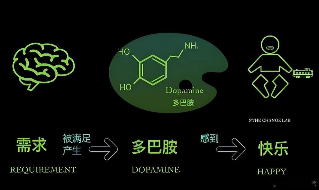 被多巴胺劫持的5个信号 多巴胺熔断并不是硬性的一刀切，而是通过制定规则，慢慢地帮