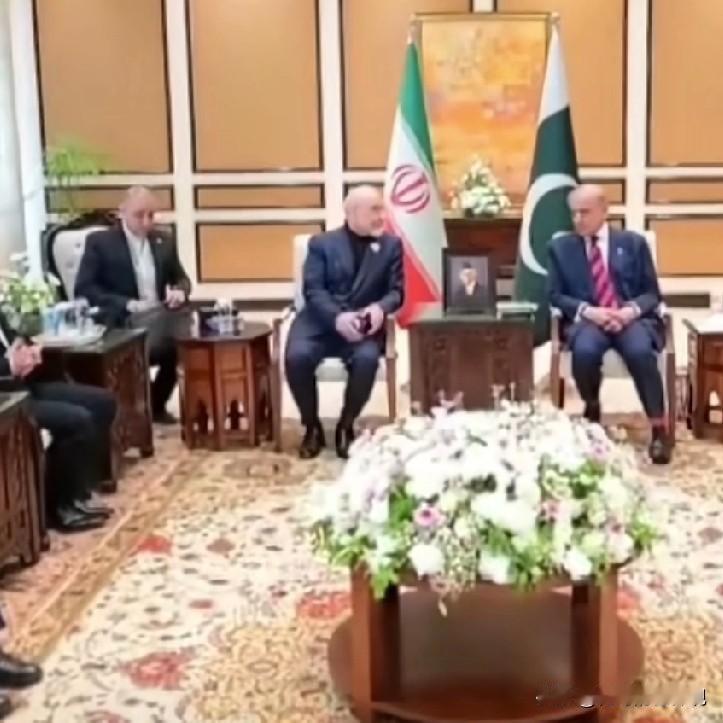 美伊谈判为何中止
       据巴基斯坦方面消息:以美国副总统万斯为团长的美方