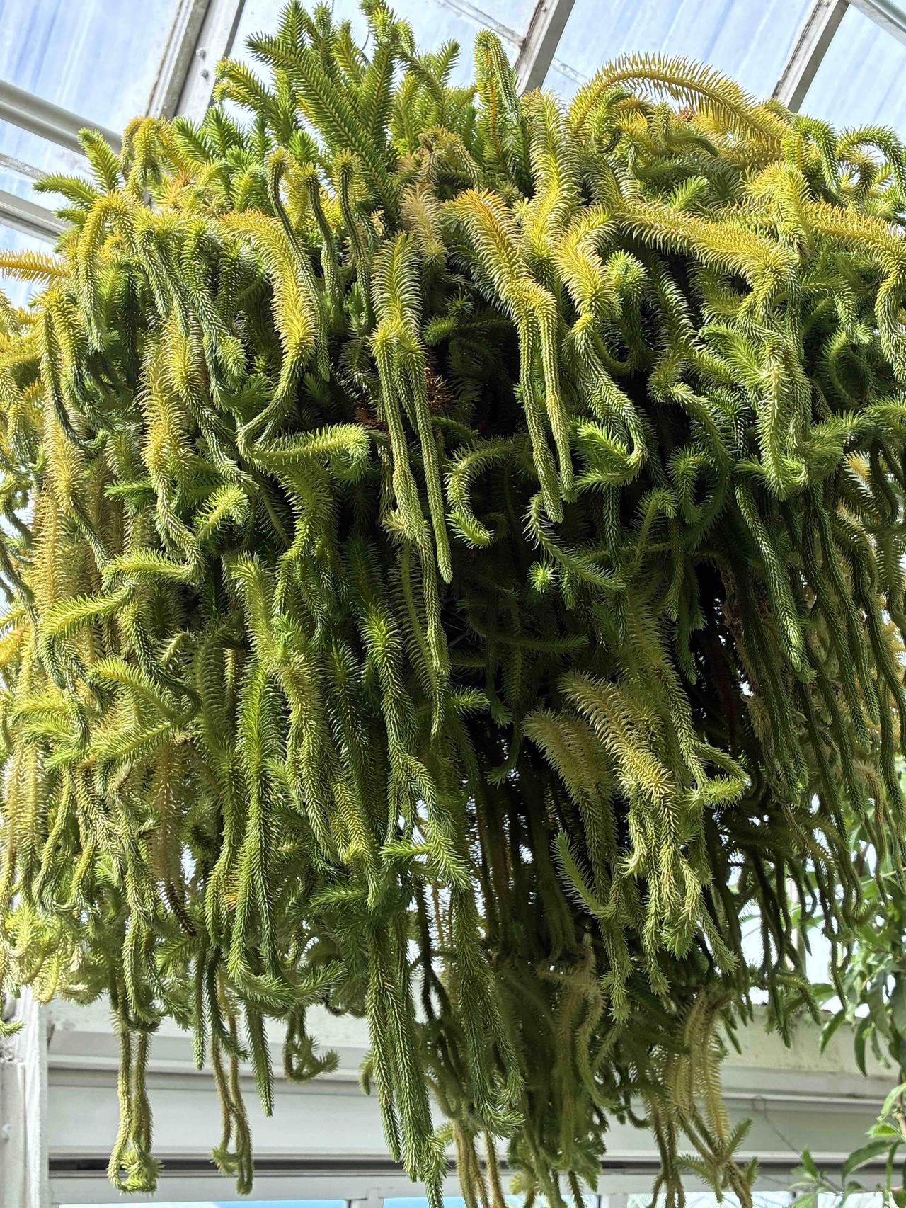 我超认同“健康是最大财富”这个观点。就说我邻居张大爷，以前身体倍儿棒，每天早起去