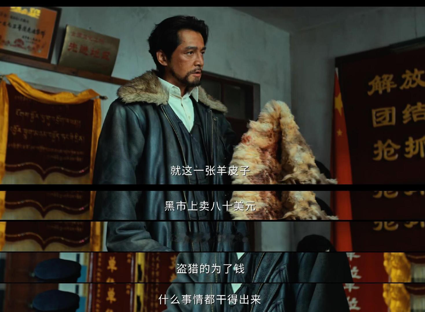 生命树受众群体好看越看越好看，全实景拍摄太震撼了！第三集开始小高潮叠起，热度今天