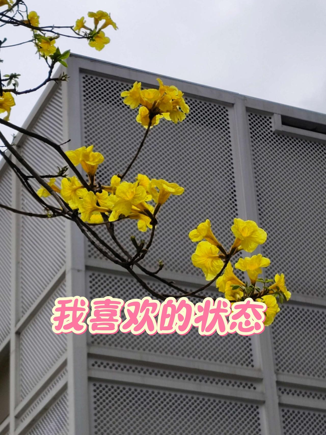 中年以后最好的状态，就是销声匿迹、半隐半藏。除了赚钱和日常生活以外，不需要太多的