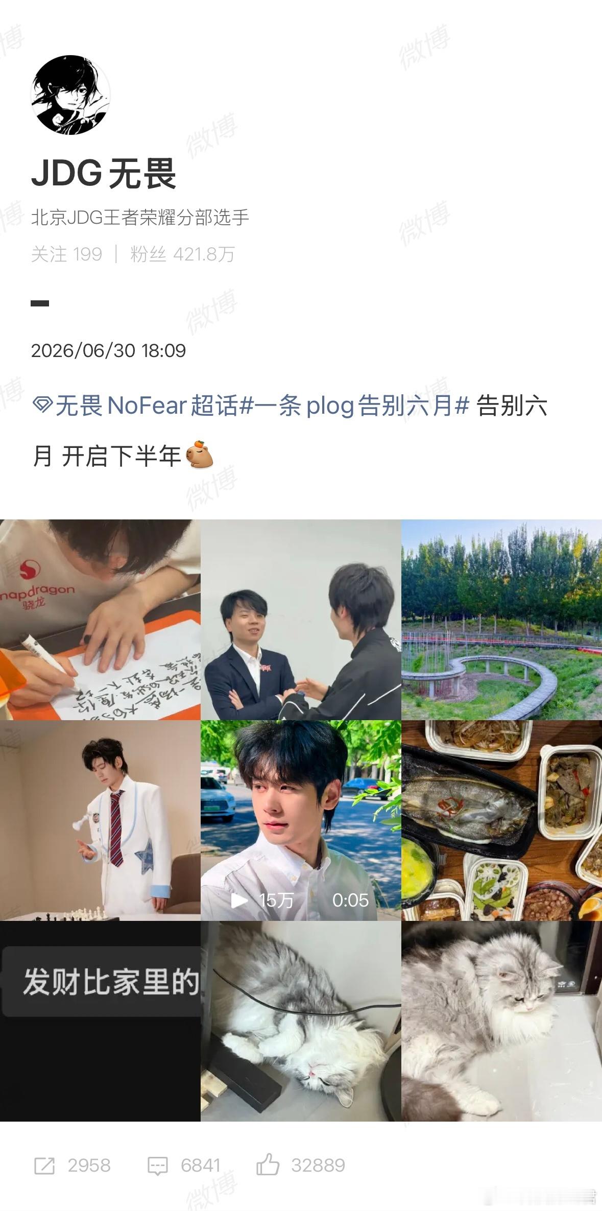 无畏告别六月plog签名、外景、干饭还有萌猫，细节满满的plog，见证充实又治愈