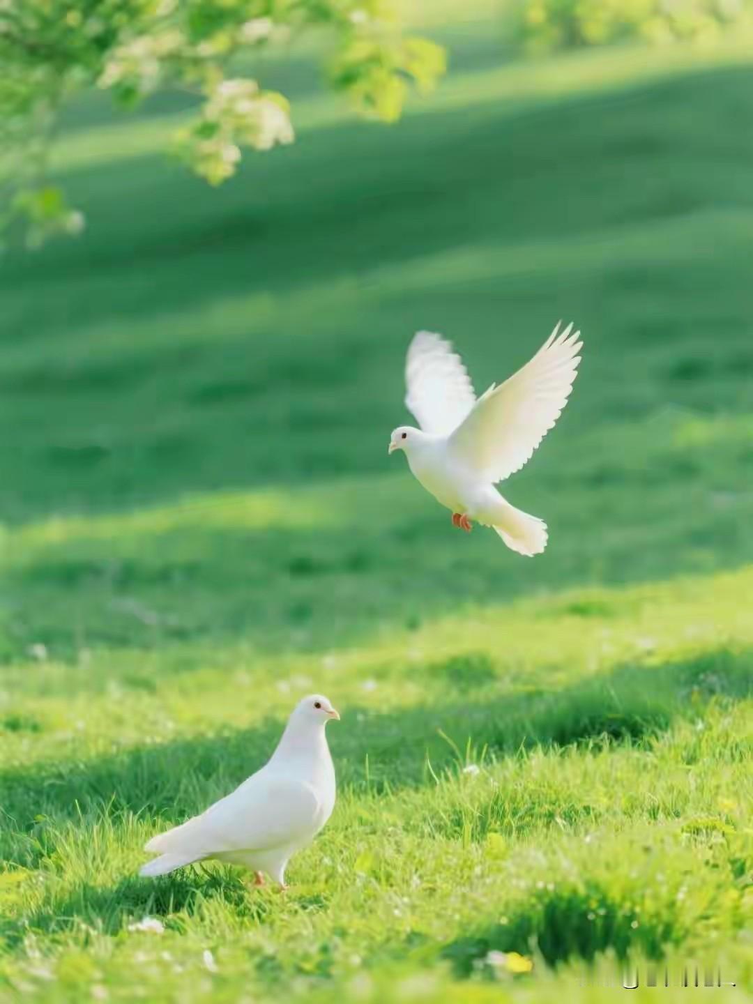 老了才明白：人生也只有4件事，忙完了也该散场了，
每一个人的人生，归根结底，也只