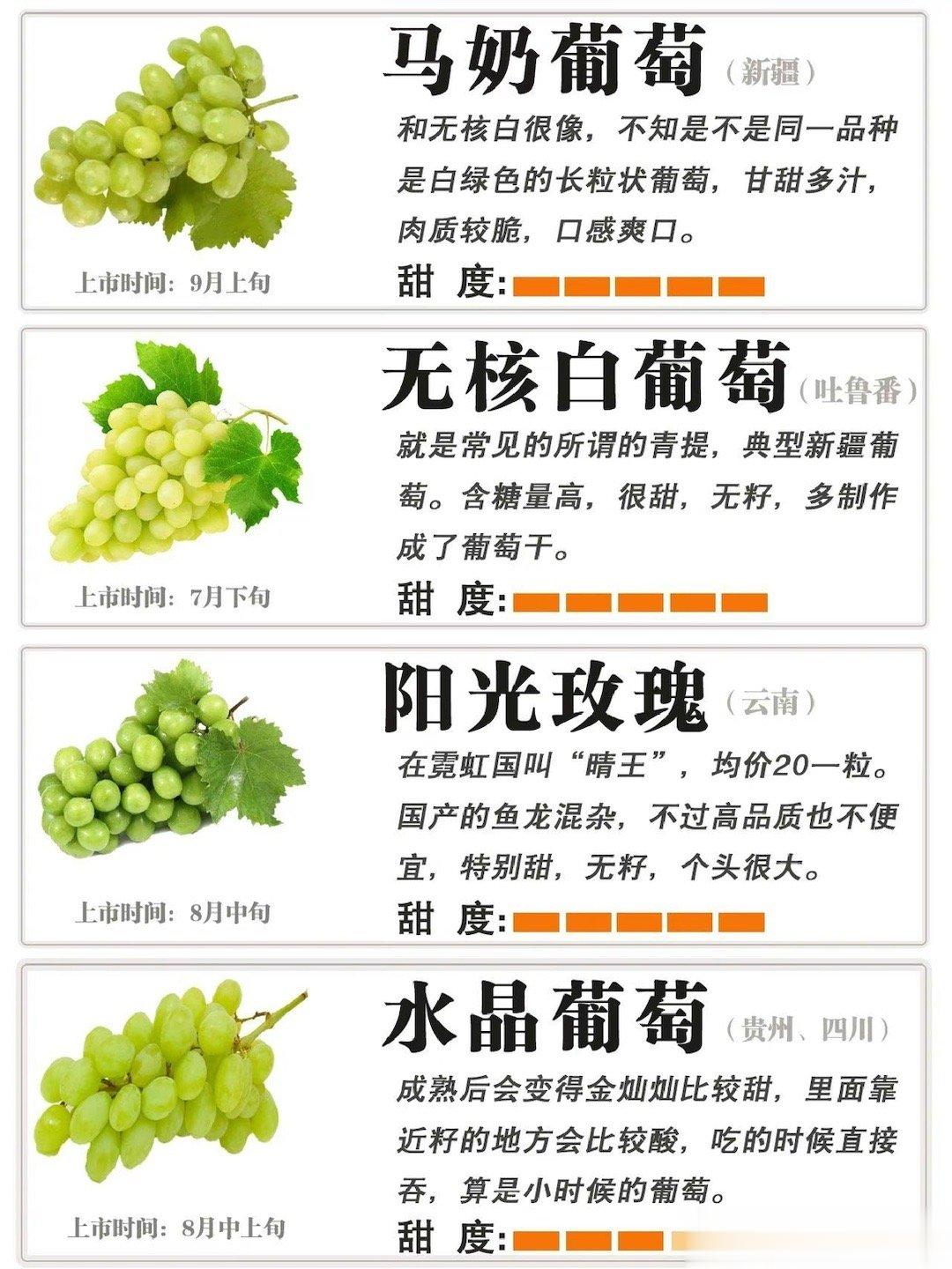 #为什么阳光玫瑰越来越便宜了# 葡萄营养价值非常好：1⃣️ 富含维生素C：还有维