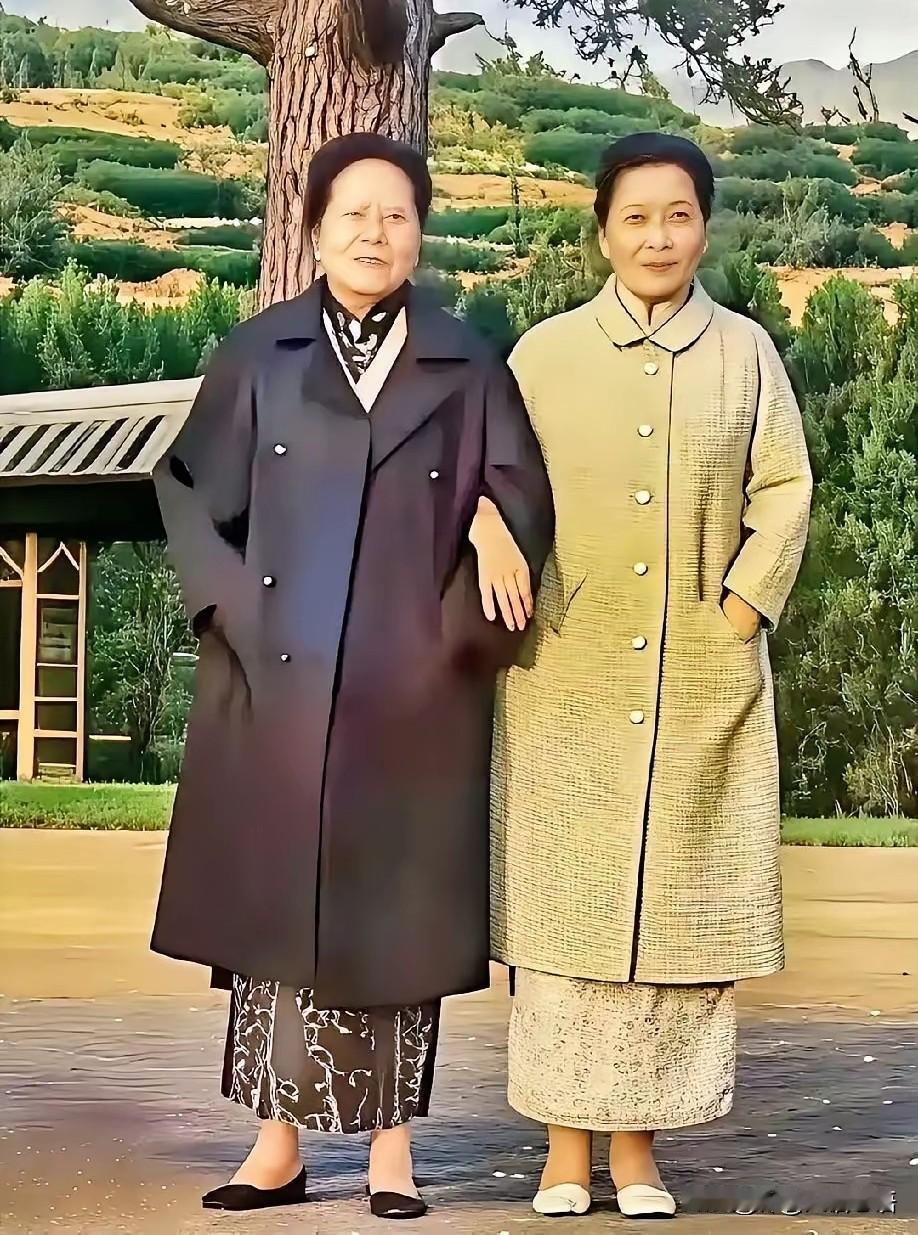 这姐俩儿，一个嫁给了权，一个嫁给了钱，都没嫁给爱情。
以前，我觉得有钱人家的女儿