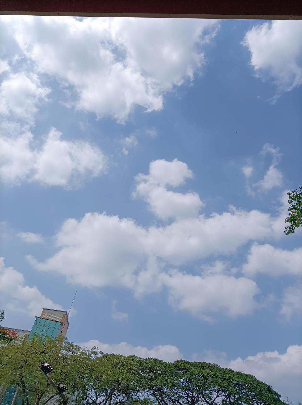 今早醒来第一个念头今早醒来的第一个念头是去看天气，今天天气好，想去外面走走看看[