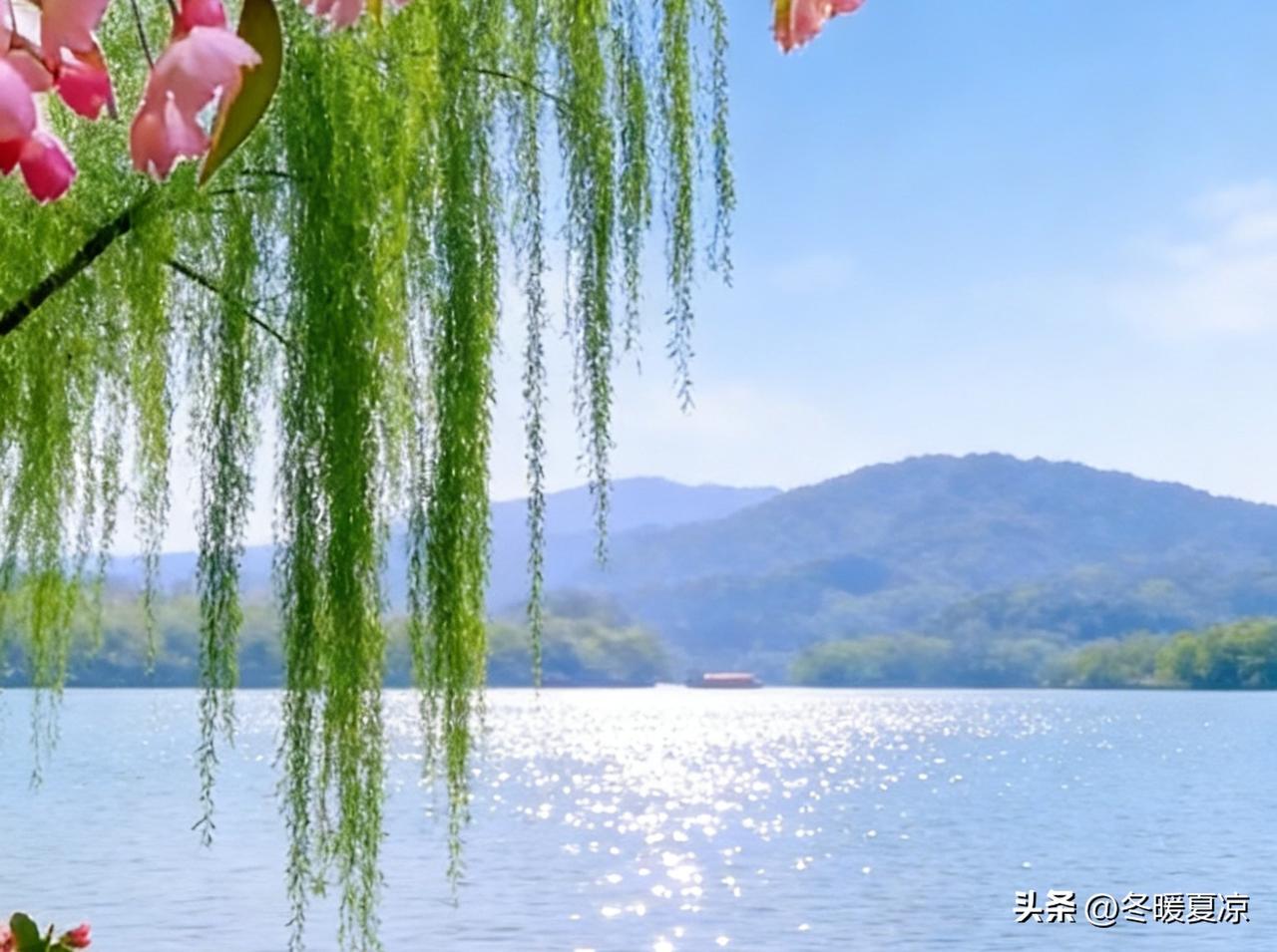 快来看看我新换的主页背景吧