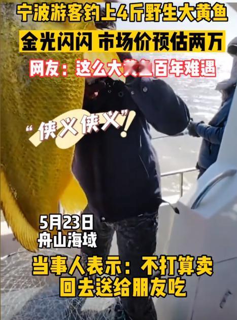 “赚翻了！”2023年1月25日，浙江一海钓达人，钓上来一条足足4斤多的大黄鱼！