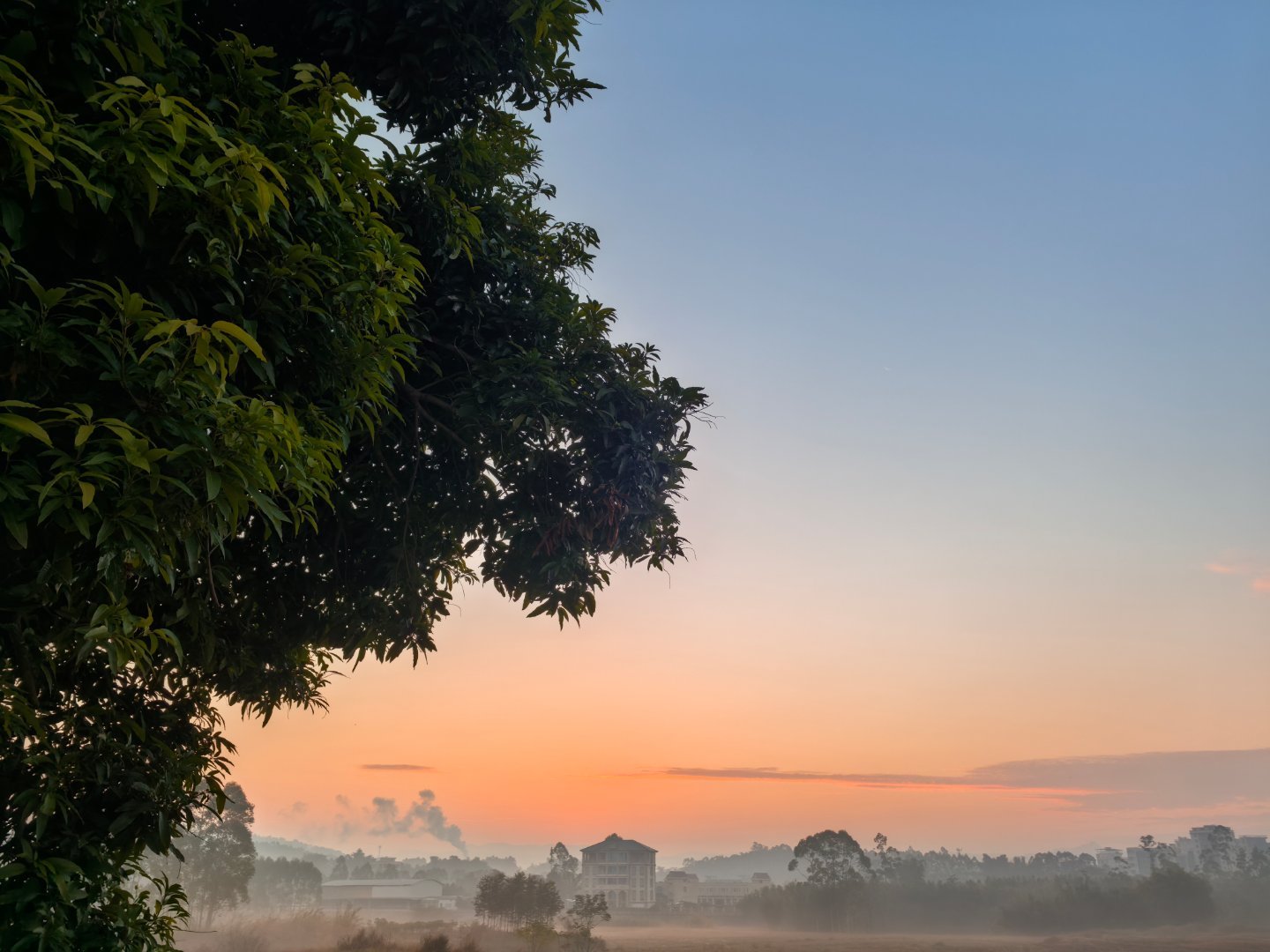 生活手记日出了🌅 