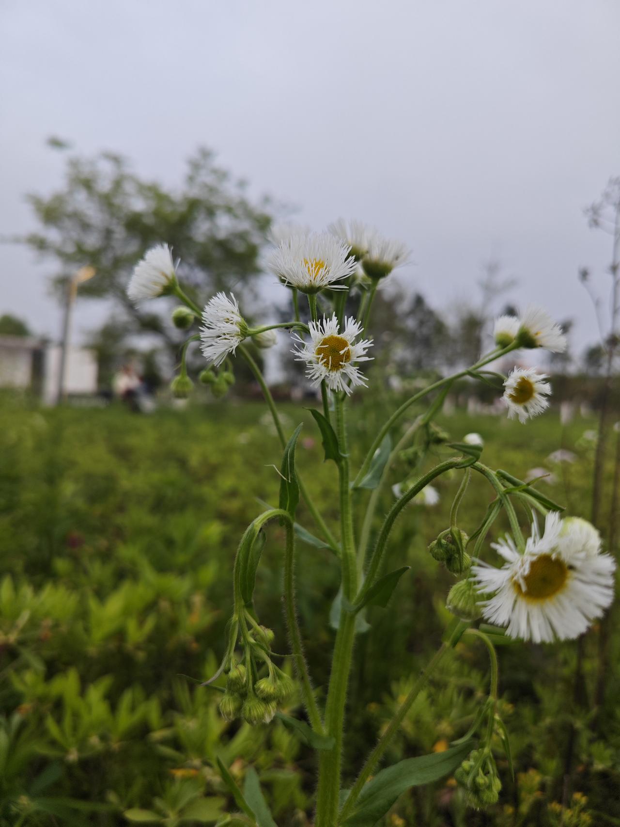 别再乱吃乱补了！这七个养生真相，越早明白身体越少受罪。

很多人养生，养的是“仪
