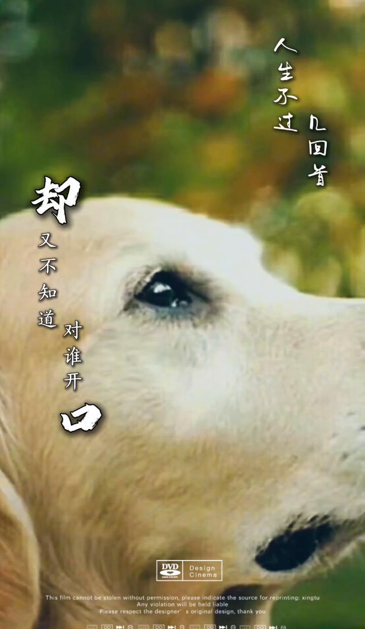 人生就那么几回眸，
眼泪把眼角都揉皱了。
一句话卡在喉咙里，
说不出口，也咽不下