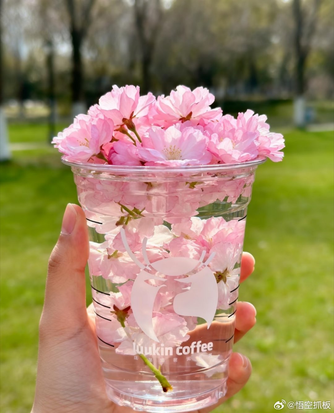 算电协同：新能泰山、华电辽能词元/Token：奥瑞德光通信：通鼎互联京台高速：平